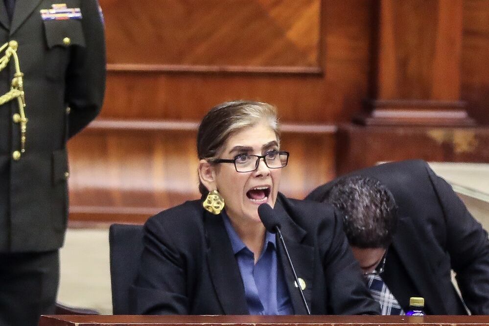 La ministra del Interior de Ecuador, Mónica Palencia (c), habla durante el juicio político en su contra este miércoles, en la Asamblea Nacional (Parlamento), en Quito (Ecuador). El juicio político se inició por presunto incumplimiento de funciones y por la incursión policial en la Embajada de México del pasado 5 de abril para detener al exvicepresidente Jorge Glas. FOTO: JOSÉ JÁCOME. EFE