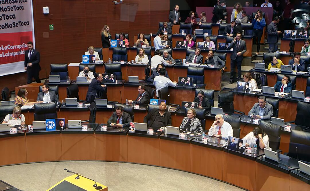 Foto: Youtube Senado de la República