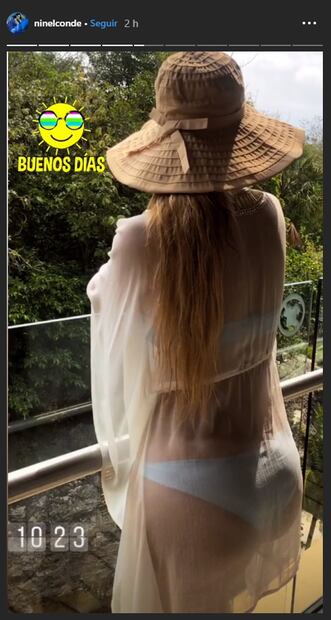 Ninel Conde enciende en redes sociales con fotos y videos en traje de baño