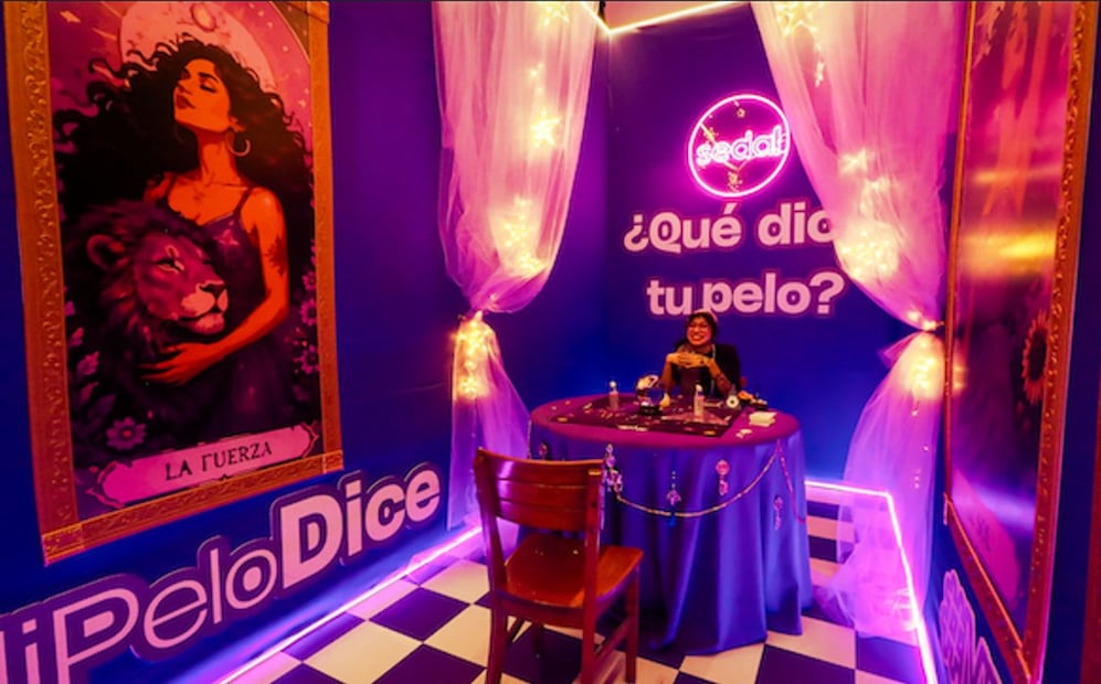 Espacio de la Mega Mansión Sedal. Foto: Cortesía Sedal