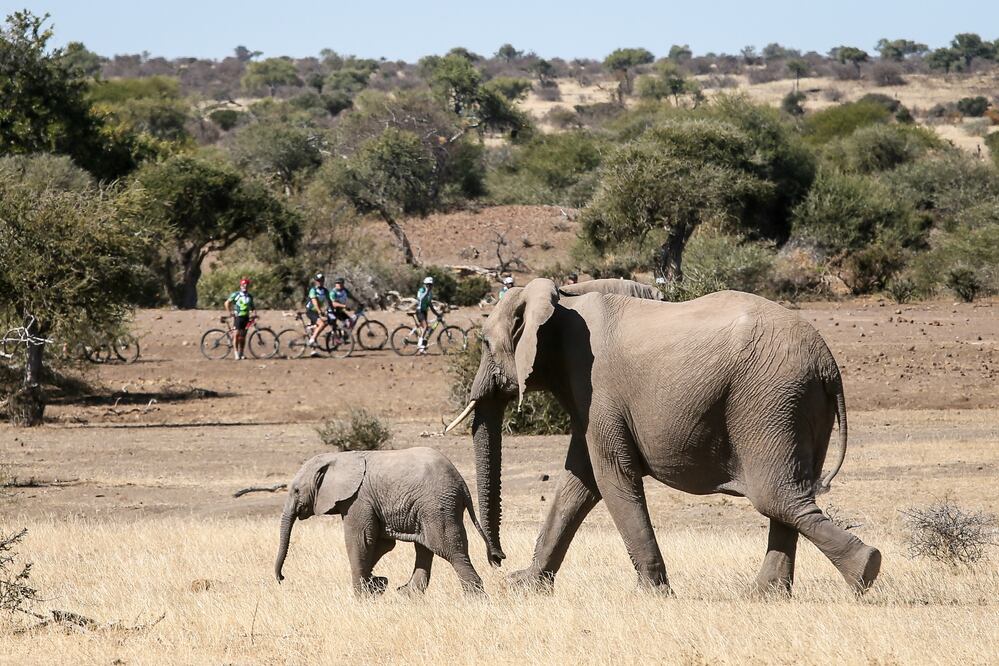 Tour de Tuli, evento de ciclismo anual, el cual recauda fondos para Children in the Wilderness. Pasa por Botswana, Zimbabue y Sudáfrica. (Foto: Cortesía Wilderness Safaris)