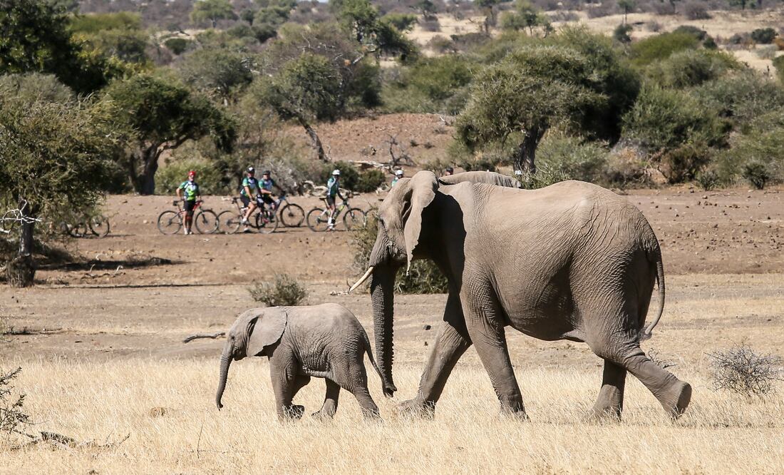 Tour de Tuli, evento de ciclismo anual, el cual recauda fondos para Children in the Wilderness. Pasa por Botswana, Zimbabue y Sudáfrica. (Foto: Cortesía Wilderness Safaris)