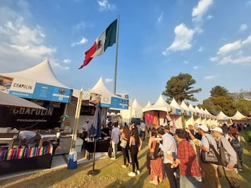 Lo mejor de Sabor es Polanco