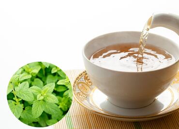 Conoce los beneficios de tomar té de toronjil por las noches