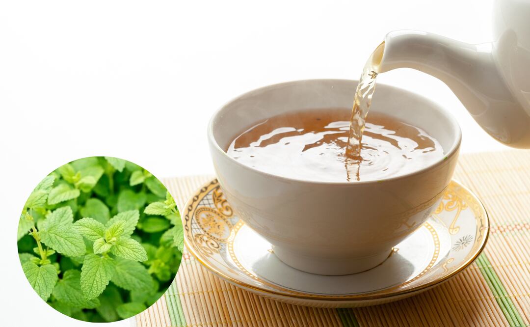 beneficios de tomar té de toronjil
Foto: El Universal