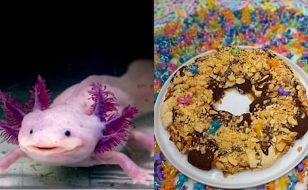 Crean adorable Rosca de Reyes con temática de ajolote; ¿dónde comprarla?