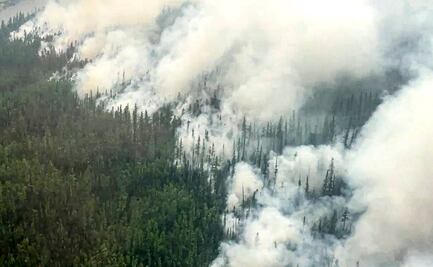 Arden 550 kilómetros cuadrados de bosques en Rusia debido a incendios forestales