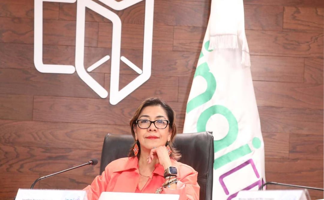 Josefina Román Vegara, comisionada del INAI. Foto: Especial