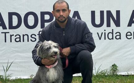 ¡Otro lomito regresa a su hogar! Centro de Transferencia Canina entrega a "Versi" a su dueño; la rescataron en Línea 3 del Metro 