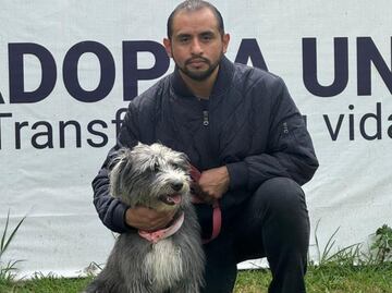 ¡Otro lomito regresa a su hogar! Centro de Transferencia Canina entrega a "Versi" a su dueño; la rescataron en Línea 3 del Metro