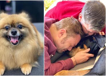 Omar Chaparro y Tiziano Ferro lloran la muerte de sus perritos