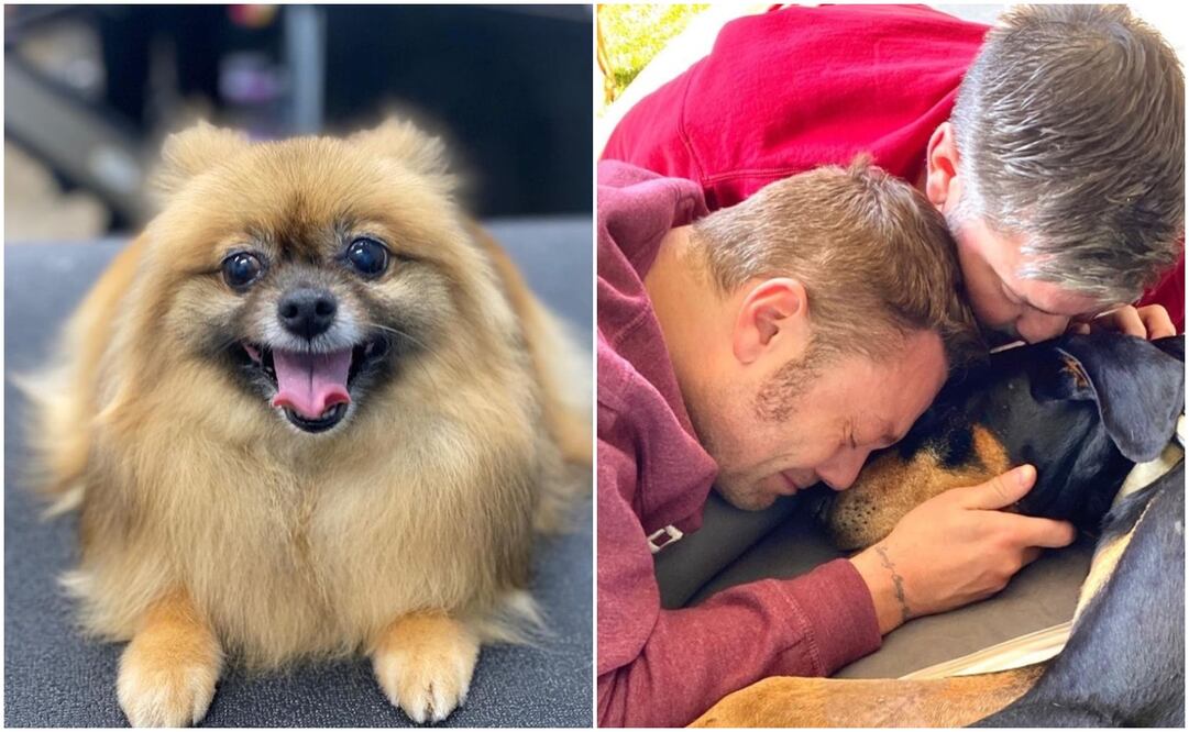 Daysi, de la familia Chaparro, y Jake, de Tiziano Ferro. Foto: Instagram