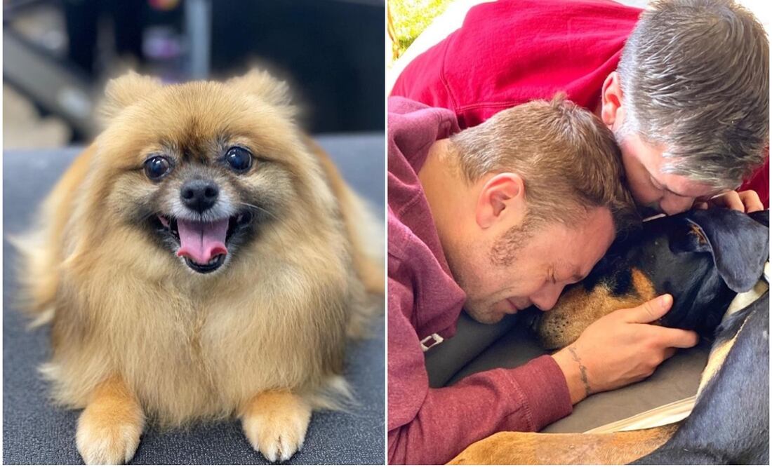 Daysi, de la familia Chaparro, y Jake, de Tiziano Ferro. Foto: Instagram