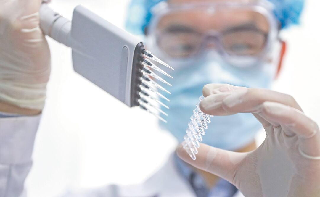 Foto: Archivo EL UNIVERSAL