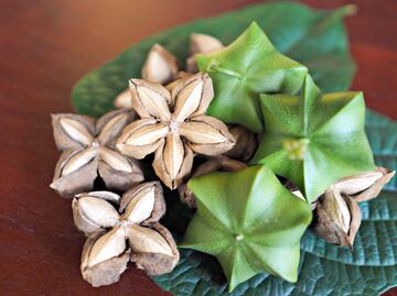 Esta semilla amazónica puede salvarte de enfermedades cardiovasculares