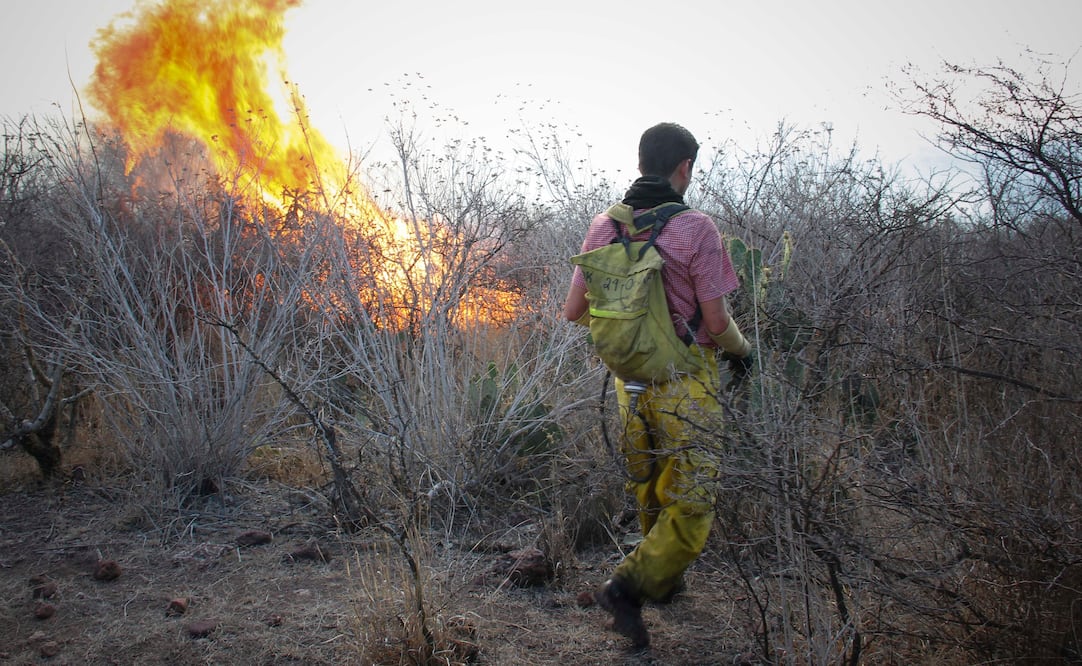 Foto: archivo/ EL UNIVERSAL