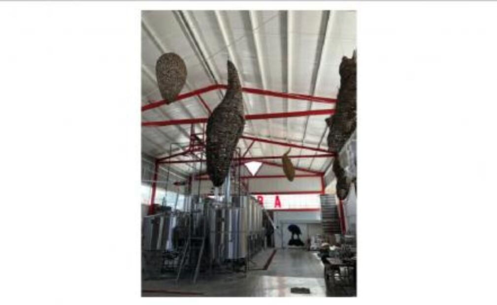 6 lugares para comer en Guadalajara