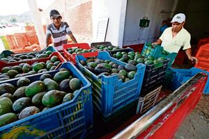 Exportaciones a EU tienen su mejor arranque en 3 años