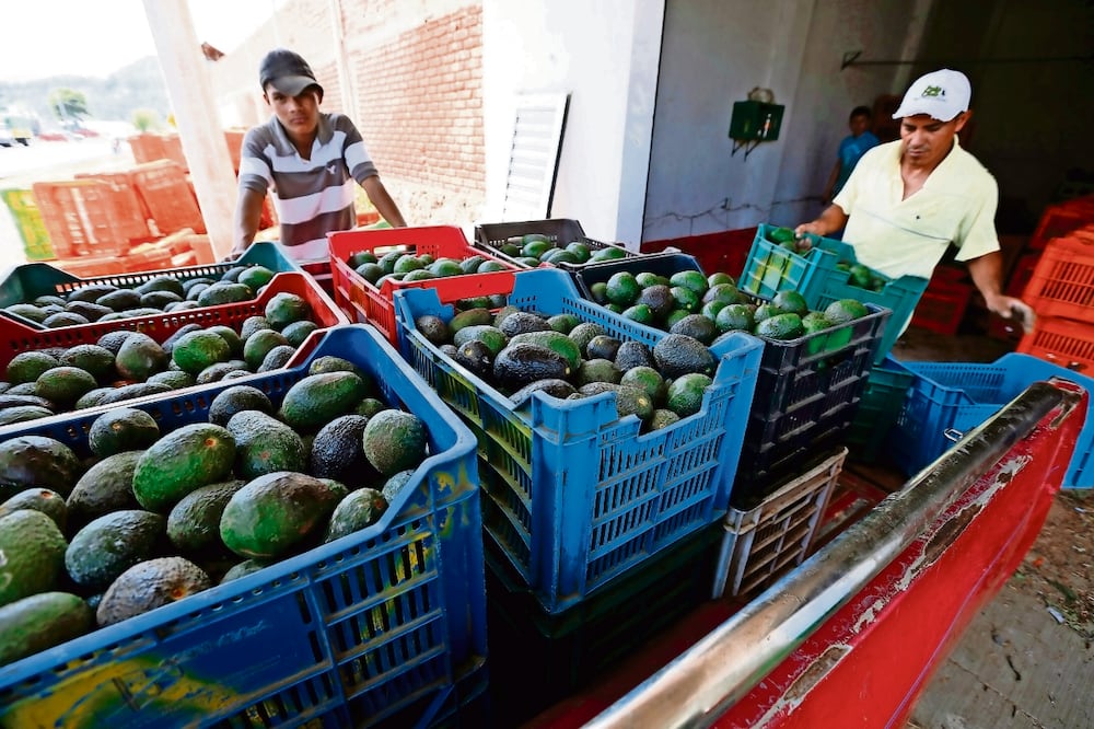 El desempeño de las exportaciones a EU se vio favorecido por el aumento de 22.9% en las ventas de computadoras, maquinaria, componentes, equipo médico y productos agropecuarios. Foto: Archivo/ EL UNIVERSAL