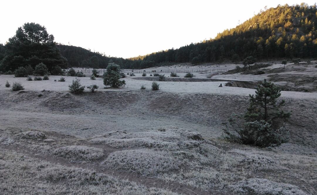 Foto: Archivo / EL UNIVERSAL