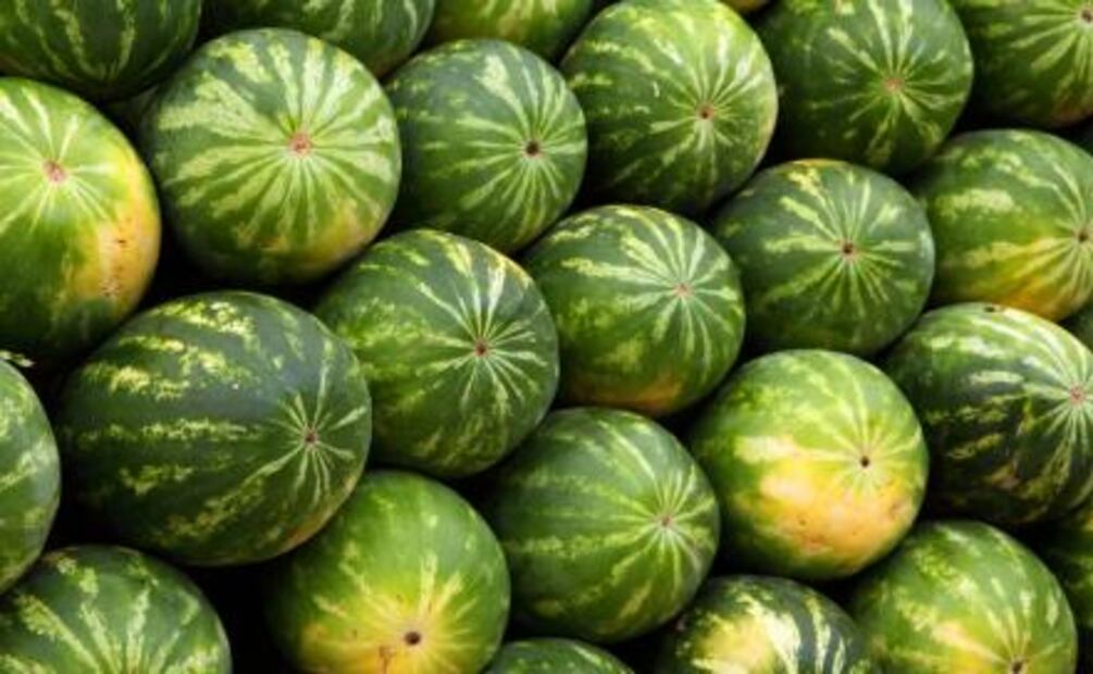 ¿Cómo elegir frutas y verduras adecuadamente?