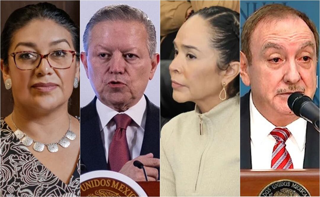 Perfiles de los integrantes de los Comités de Evaluación en elección judicial. Foto: Especial