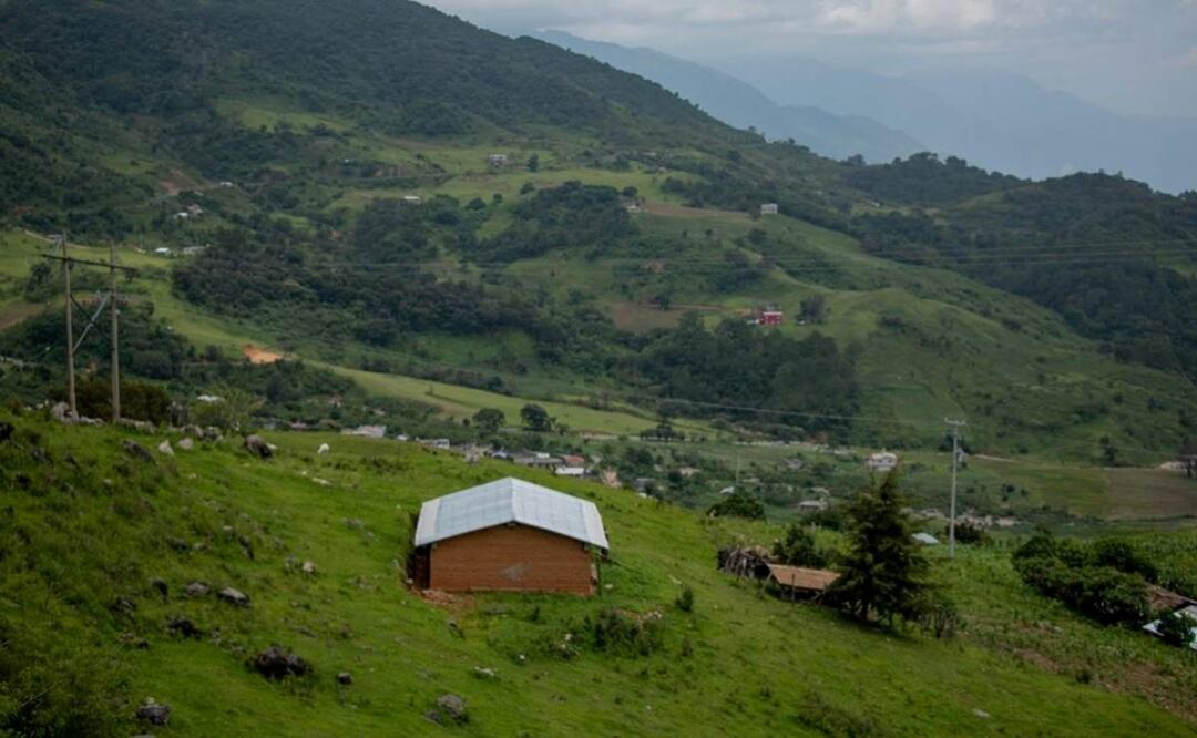 Habitantes cercanos a los bosques de Yosoyuxi Copala, reportan disparos en comunidad de Oaxaca donde se refugian familias desplazadas (08/05/2025). Foto: Especial