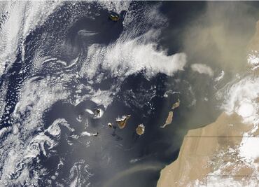 ¿Qué es el fenómeno La Niña y cómo se origina?