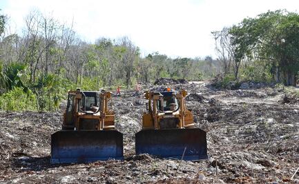 Juzgado en Yucatán frena, por ahora, obras del polémico Tramo 5 del Tren Maya