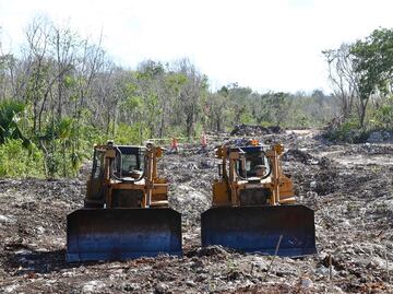 Juzgado en Yucatán frena, por ahora, obras del polémico Tramo 5 del Tren Maya