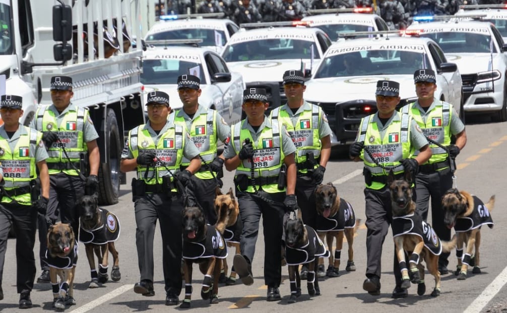 Binomios caninos de la GN ensayan desfile militar para el 16 de septiembre (09/09/2026). Foto: Karla Guerrero/EL UNIVERSAL