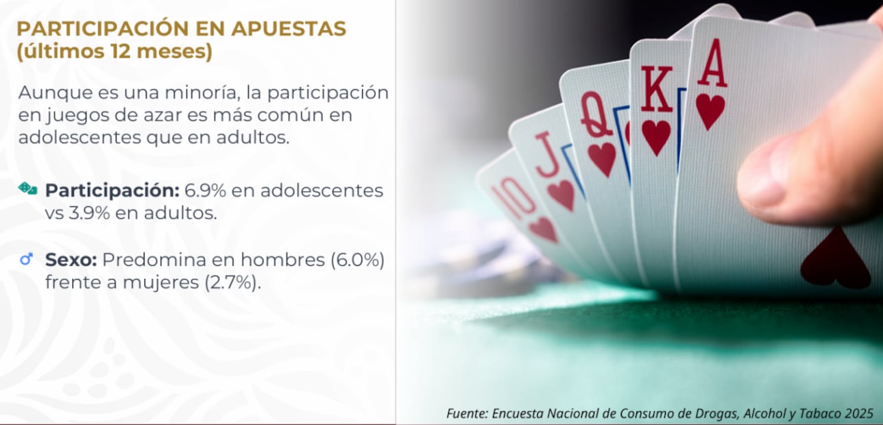 Encuesta Nacional de Consumo de Drogas, Alcohol y Tabaco 2025. Foto: Especial