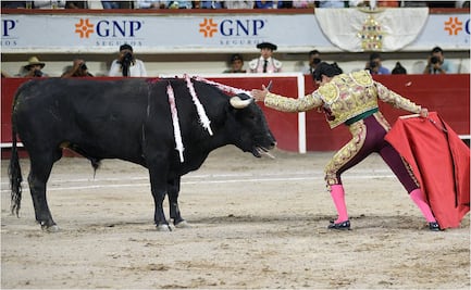 El torero mexicano Joselito Adame sufre impactante embestida en la Feria de San Marcos