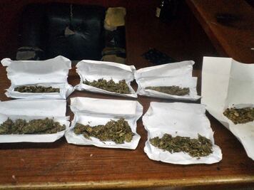 Aseguran federales 286 kilos de marihuana en SLP