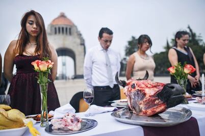 Lucha por derechos de los animales, en vilo