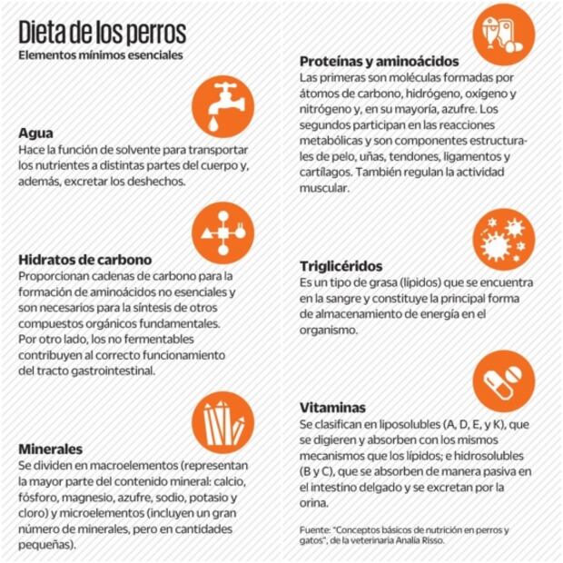 ¿Le das sobras y croquetas? ten cuidado, tu mascota puede vivir menos