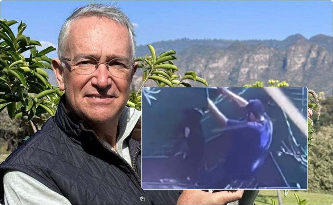 Ricardo Salinas quiere castigo para "Dogtime", hotel para mascotas de CDMX, donde se denunció un caso de maltrato animal. / Foto: Instagram y Especial.