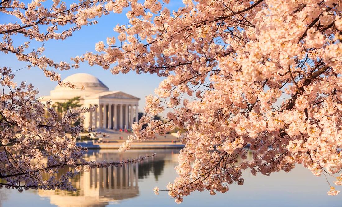 Foto: Wasin Pummarin. iStock