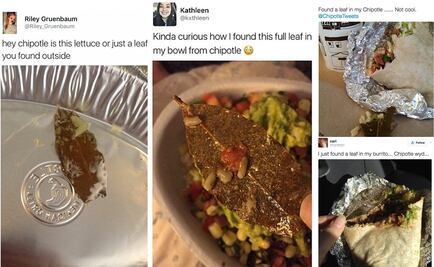 Estadounidenses se indignan al hallar "hojas de árbol" en su comida, sin saber que era laurel