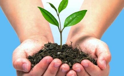 Ciencia ciudadana en el Día del Medio Ambiente