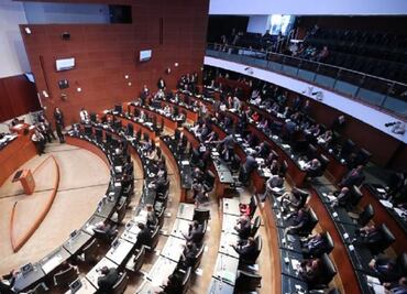 Denuncian acoso a mujeres en el Senado