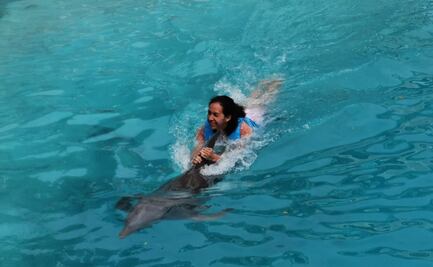 Profepa respalda propuesta que prohíbe operación de delfinarios en México; “es una práctica que ya no podría prevalecer”