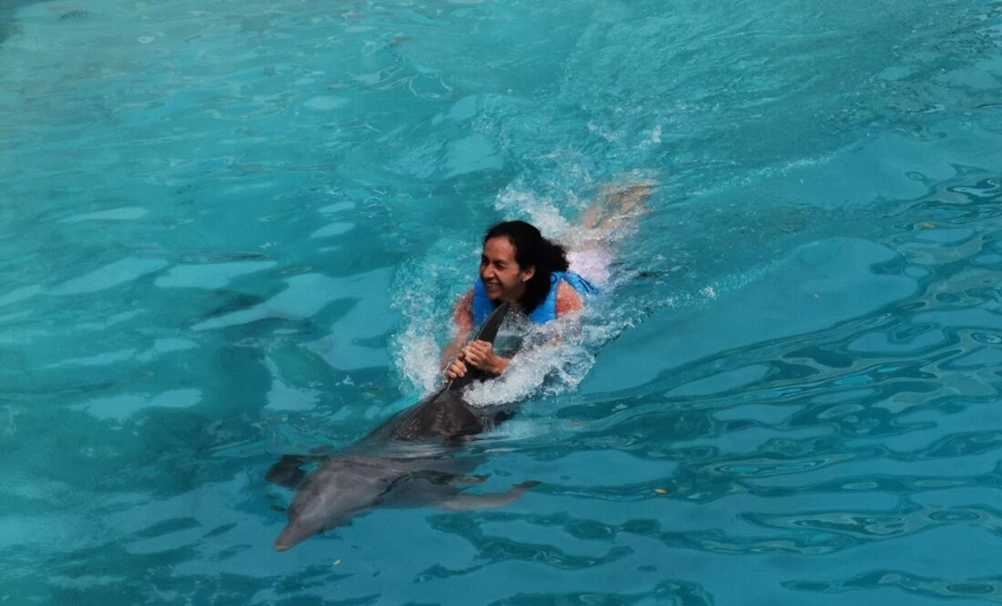 Profepa respalda propuesta que prohíbe operación de delfinarios en México; “es una práctica que ya no podría prevalecer”, asegura Mariana Boy. Foto: Adriana Varillas