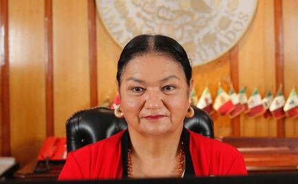 Cámara de Diputados tiene 46 transitorios pendientes, 41 con plazos vencidos: Sauri