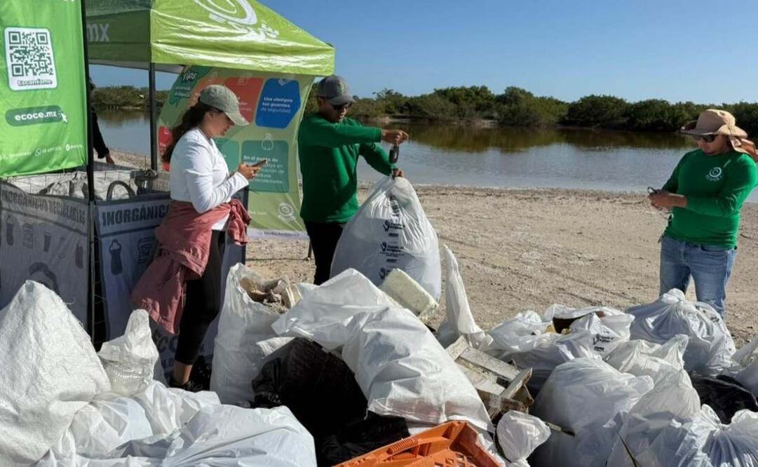 Rescatan ecosistemas costeros en Yucatán (02/12/2025). Foto: Especial