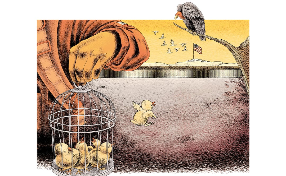 Ilustración: Ani Cortés