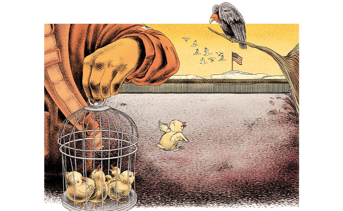 Ilustración: Ani Cortés