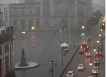 Lluvia deja 2 árboles caídos en GAM y V. Carranza