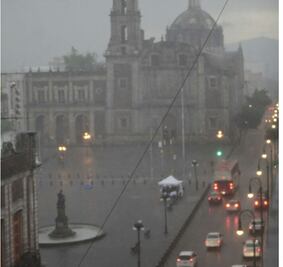 Lluvia deja 2 árboles caídos en GAM y V. Carranza