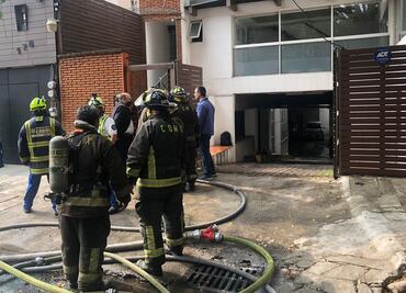 Mueren 6 perritos por incendio en departamento de la Nápoles